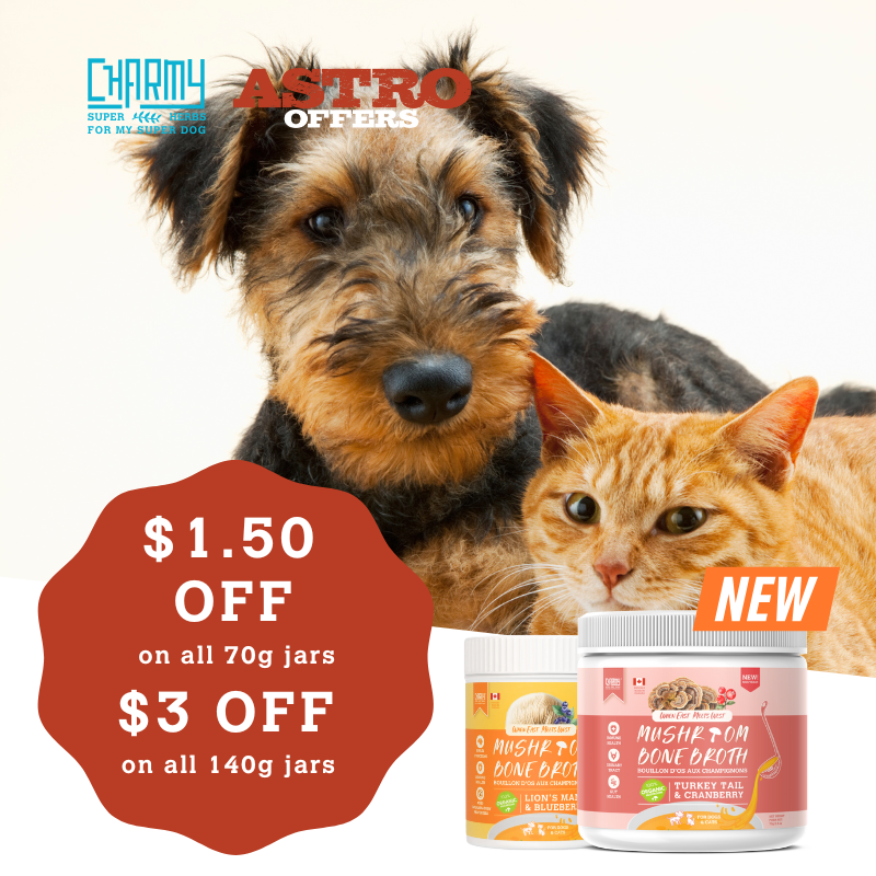 Astro | Charmy Pet | Dollars OFF Mushroom Broth
