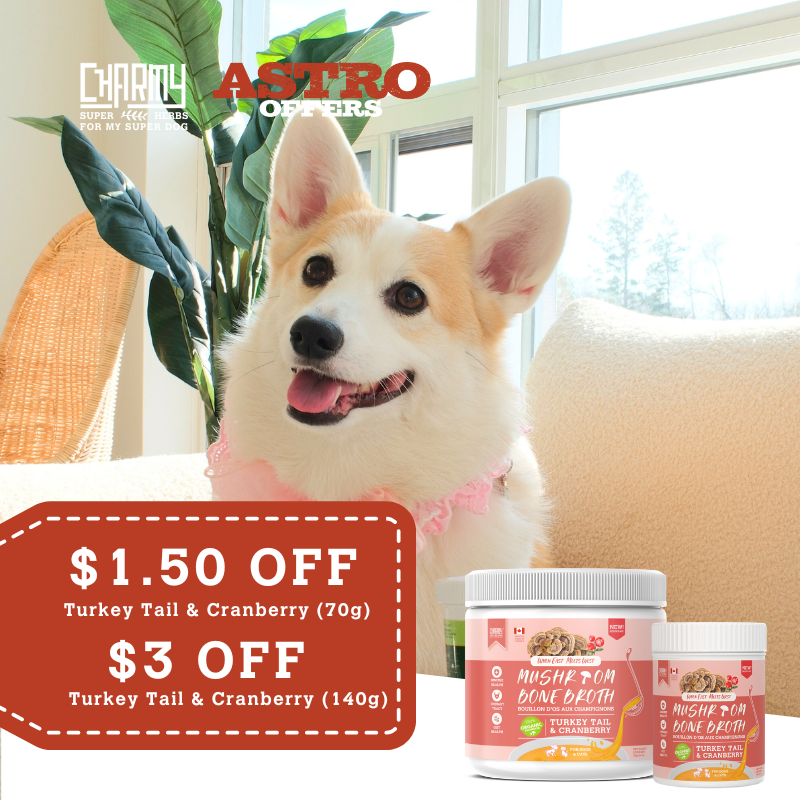 Astro | Charmy Pet | Dollars OFF Cranberry & Turkey Tail Mushroom Broth