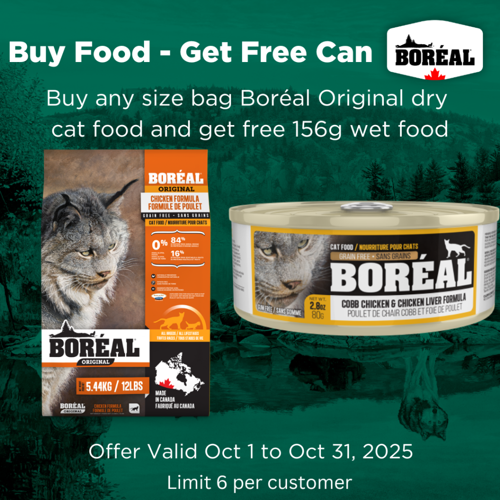 Astro | Boreal | FREE 156g Cat Can with Purchase of Original Dry Cat Food