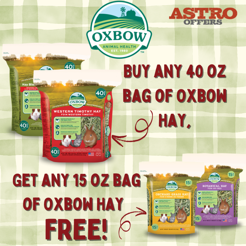 Astro | Oxbow | FREE 15oz Hay with 40oz Hay Purchase!