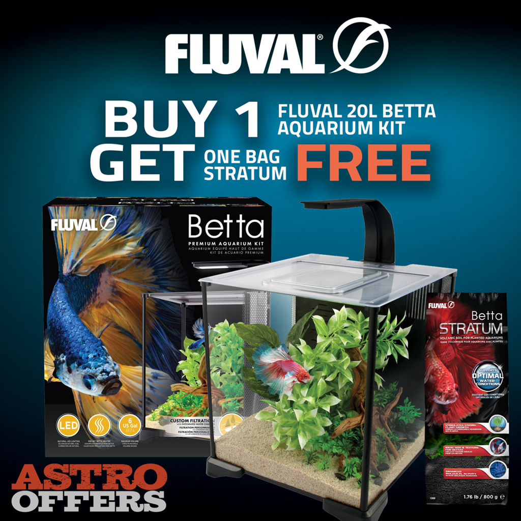 Astro | Fluval | FREE Betta Stratum with Qualifying Purchase!