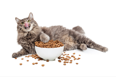 Dry Food