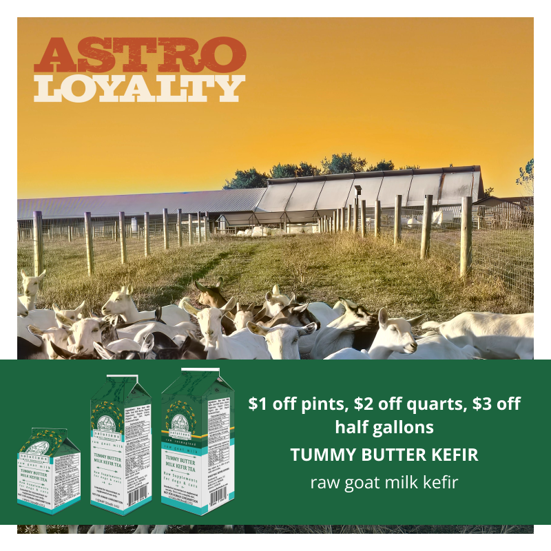 Astro | Solutions Pet Products | Dollars OFF Tummy Butter Milk Kefir