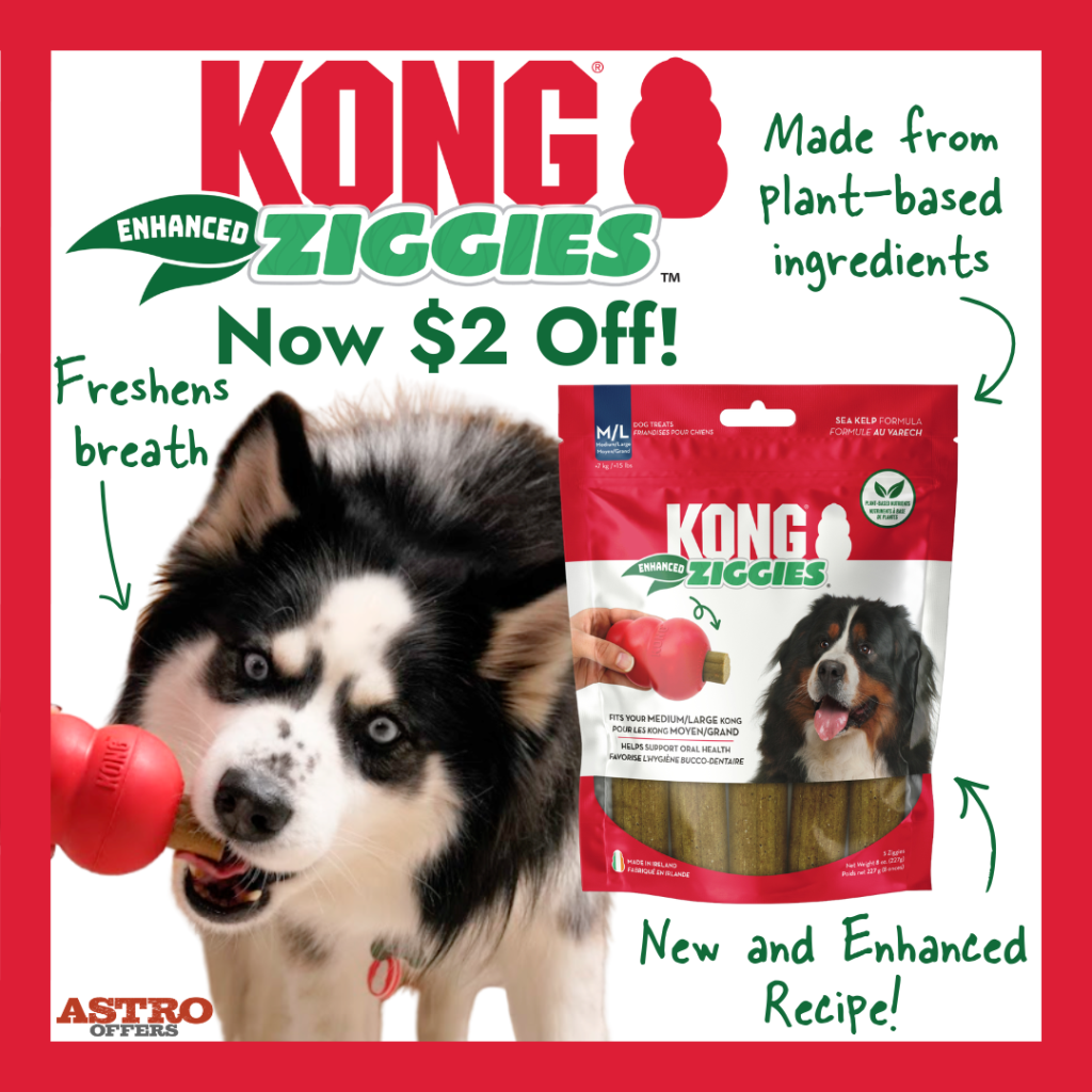 Astro | KONG | $2.00 OFF Ziggies Enhanced 